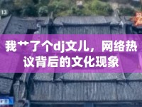 我艸了個dj文兒，網(wǎng)絡(luò)熱議背后的文化現(xiàn)象