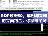 ROP攻略30，解密與策略的完美結(jié)合，你掌握了嗎？