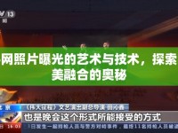 平網(wǎng)照片曝光的藝術(shù)與技術(shù)，探索完美融合的奧秘