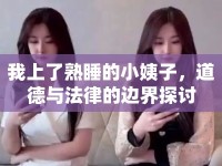 我上了熟睡的小姨子，道德與法律的邊界探討