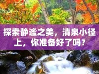 探索靜謐之美，清泉小徑上，你準(zhǔn)備好了嗎？
