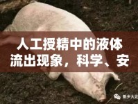 人工授精中的液體流出現(xiàn)象，科學(xué)、安全與理解