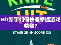 Hit新手如何快速掌握游戲精髓？
