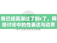 我已經(jīng)高潮過(guò)了別c了，網(wǎng)絡(luò)討論中的性表達(dá)與邊界
