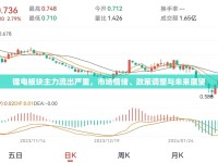 鋰電板塊主力流出嚴(yán)重，市場情緒、政策調(diào)整與未來展望