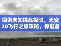 探索未知挑戰(zhàn)極限，天空20飛行之旅攻略，你準(zhǔn)備好了嗎？