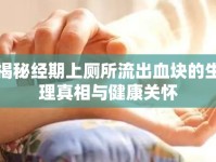 揭秘經(jīng)期上廁所流出血塊的生理真相與健康關(guān)懷