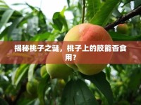 揭秘桃子之謎，桃子上的膠能否食用？