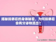 揭秘排卵后的身體秘密，為何排卵后會(huì)有分泌物流出？