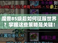 魔獸85級(jí)后如何征服世界？掌握這些策略是關(guān)鍵！