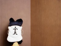 尋仙手游寵物星魂系統(tǒng)，如何打造獨一無二的頂級仙寵？