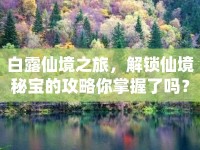 白露仙境之旅，解鎖仙境秘寶的攻略你掌握了嗎？