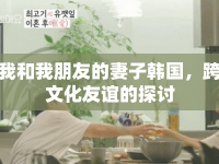 我和我朋友的妻子韓國(guó)，跨文化友誼的探討