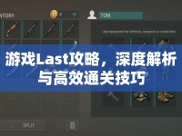 游戲Last攻略，深度解析與高效通關(guān)技巧