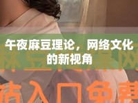 午夜麻豆理論，網(wǎng)絡(luò)文化的新視角