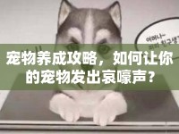 寵物養(yǎng)成攻略，如何讓你的寵物發(fā)出哀嚎聲？