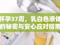 懷孕37周，乳白色液體的秘密與安心應(yīng)對指南