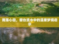 雨落心田，窗臺(tái)流水中的溫柔夢(mèng)境啟示