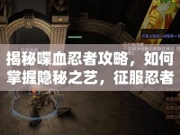 揭秘喋血忍者攻略，如何掌握隱秘之藝，征服忍者世界？