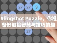 Slingshot Puzzle，你準備好迎接智慧與技巧的趣味挑戰(zhàn)了嗎？