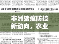 非洲豬瘟防控新動(dòng)向，農(nóng)業(yè)部最新消息解讀與未來(lái)展望