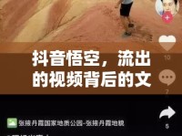 抖音悟空，流出的視頻背后的文化現(xiàn)象與深度思考
