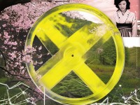 日本黃色A級片為何引發(fā)全球關注？
