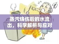 蒸汽燒傷后的水流出，科學解析與應對策略