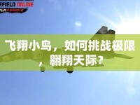 飛翔小鳥，如何挑戰(zhàn)極限，翱翔天際？