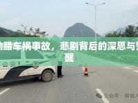 勐臘車禍?zhǔn)鹿?，悲劇背后的深思與警醒
