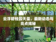 云浮碧桂園天璽，最新動(dòng)態(tài)與亮點(diǎn)揭秘