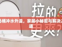 馬桶沖水外溢，家居小秘密與解決之道