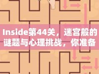 Inside第44關(guān)，迷宮般的謎題與心理挑戰(zhàn)，你準(zhǔn)備好了嗎？