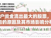 散戶資金流出最大的股票，背后的原因及其市場影響分析