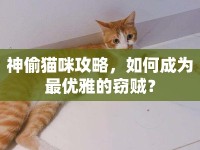神偷貓咪攻略，如何成為最優(yōu)雅的竊賊？