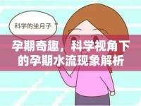 孕期奇趣，科學(xué)視角下的孕期水流現(xiàn)象解析