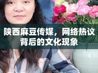 陜西麻豆傳媒，網(wǎng)絡熱議背后的文化現(xiàn)象