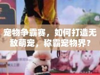 寵物爭霸賽，如何打造無敵萌寵，稱霸寵物界？