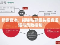 新鼎資本，揭秘私募巨頭投資邏輯與風(fēng)險(xiǎn)控制