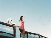 如何輕松將雨獸強(qiáng)化至12？這份攻略讓你少走彎路！