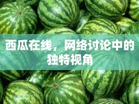 西瓜在線，網(wǎng)絡(luò)討論中的獨(dú)特視角