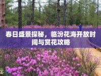 春日盛景探秘，臨汾花海開放時間與賞花攻略