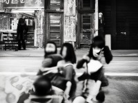尋仙手游仙露獲取太慢？這份高效攻略讓你快人一步！