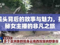 鏡頭背后的故事與魅力，揭秘女主播的非凡之旅
