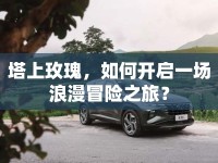 塔上玫瑰，如何開啟一場浪漫冒險之旅？