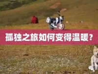 孤獨(dú)之旅如何變得溫暖？