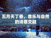 五月天丁香，音樂(lè)與自然的詩(shī)意交融