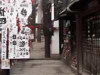 星辰奇緣手游寵物技能如何打造專屬戰(zhàn)斗伙伴？