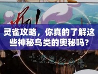 靈雀攻略，你真的了解這些神秘鳥類的奧秘嗎？