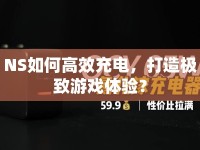 NS如何高效充電，打造極致游戲體驗？